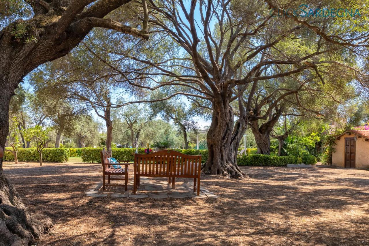 Villa Christiana Villa Del XV Secolo Con Piscina Ad Uso Esclusivo Alghero Exteriér fotografie
